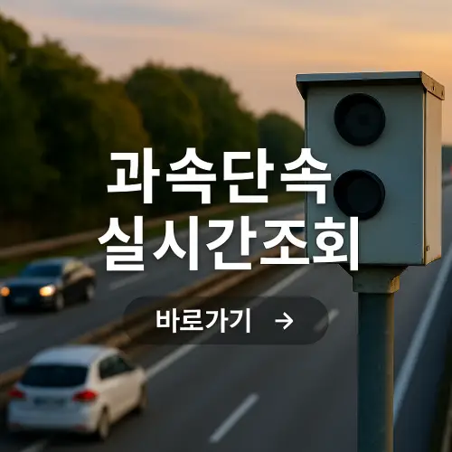 과속 단속 실시간 조회