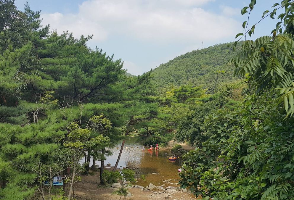국립용현자연휴양림