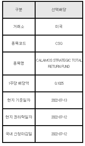 미국주식 선택배당 CSQ / CALAMOS STRATEGIC TOTAL RETURN FUND