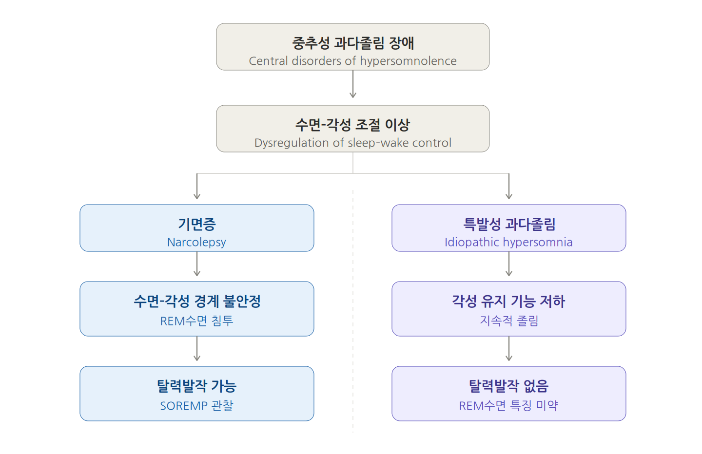 중추성 과다졸림 장애의 분류 구조 도식