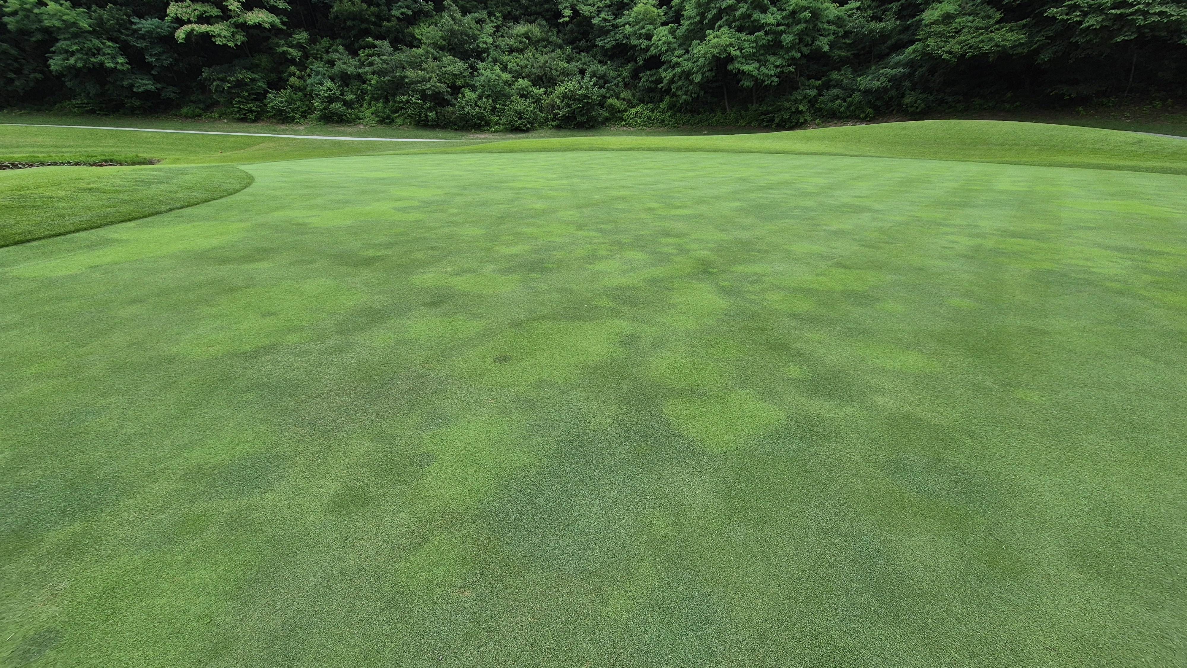 뉴스프링빌cc 라운드 후기