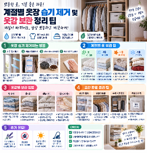 계절별 옷장 습기 제거 및 옷감 보관 정리 팁