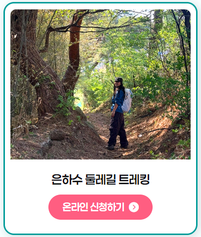 완주 대둔산 축제