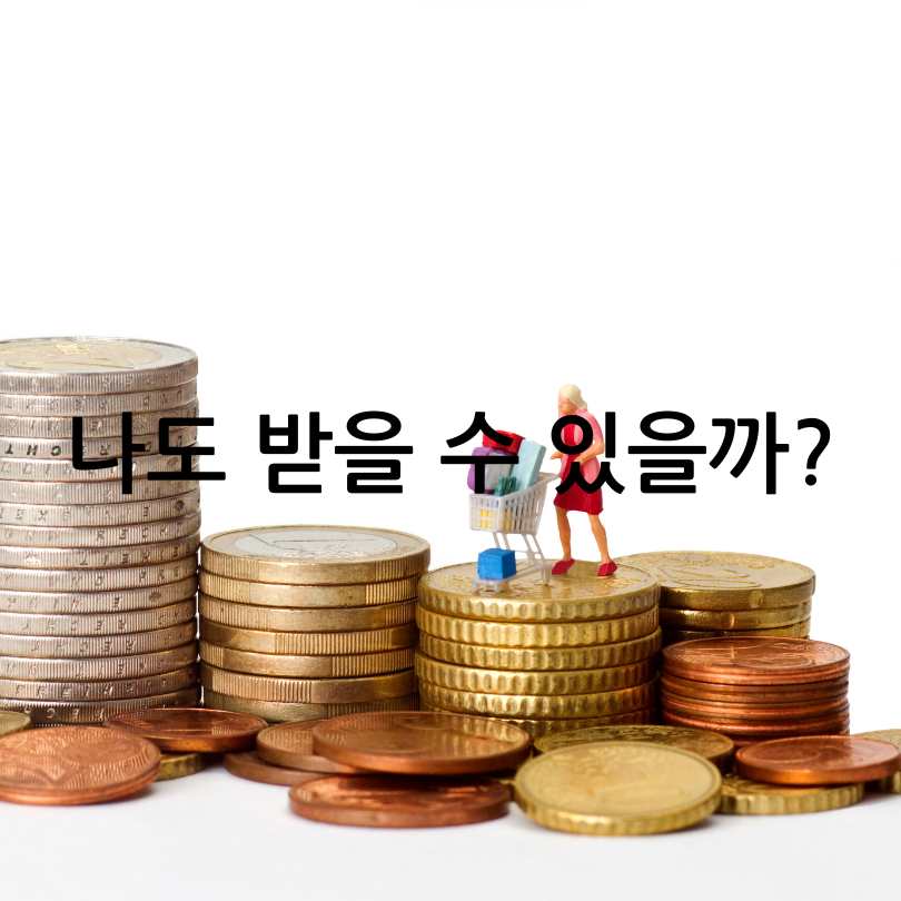 서울형 입원생활비 지원