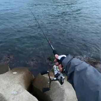 초보 바다낚시 최고 추천 명소 쉽게 낚시할 수 있는 추천 장소 5곳_11