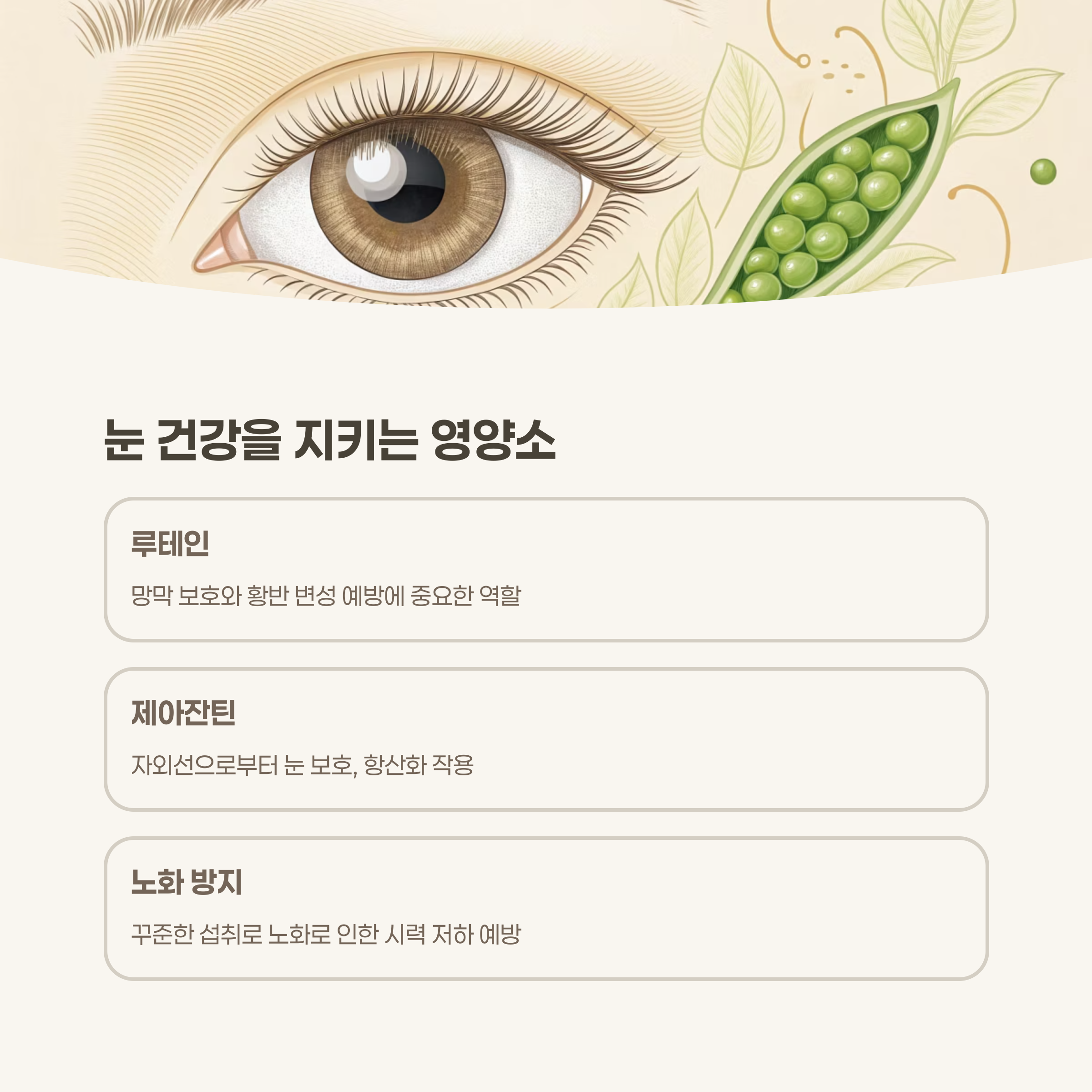 눈 건강 보호와 노화 예방