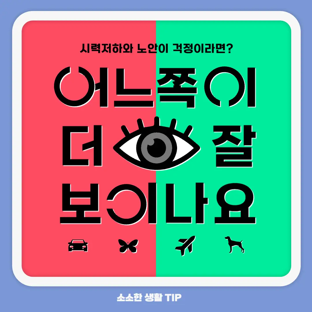 노안 증상 원인 치료 예방하는 방법