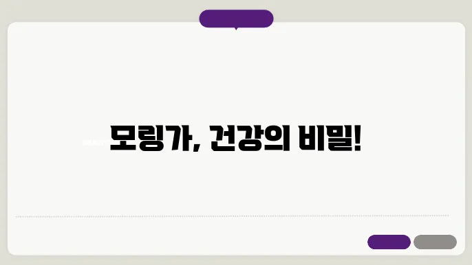 모링가의 섭취 방법