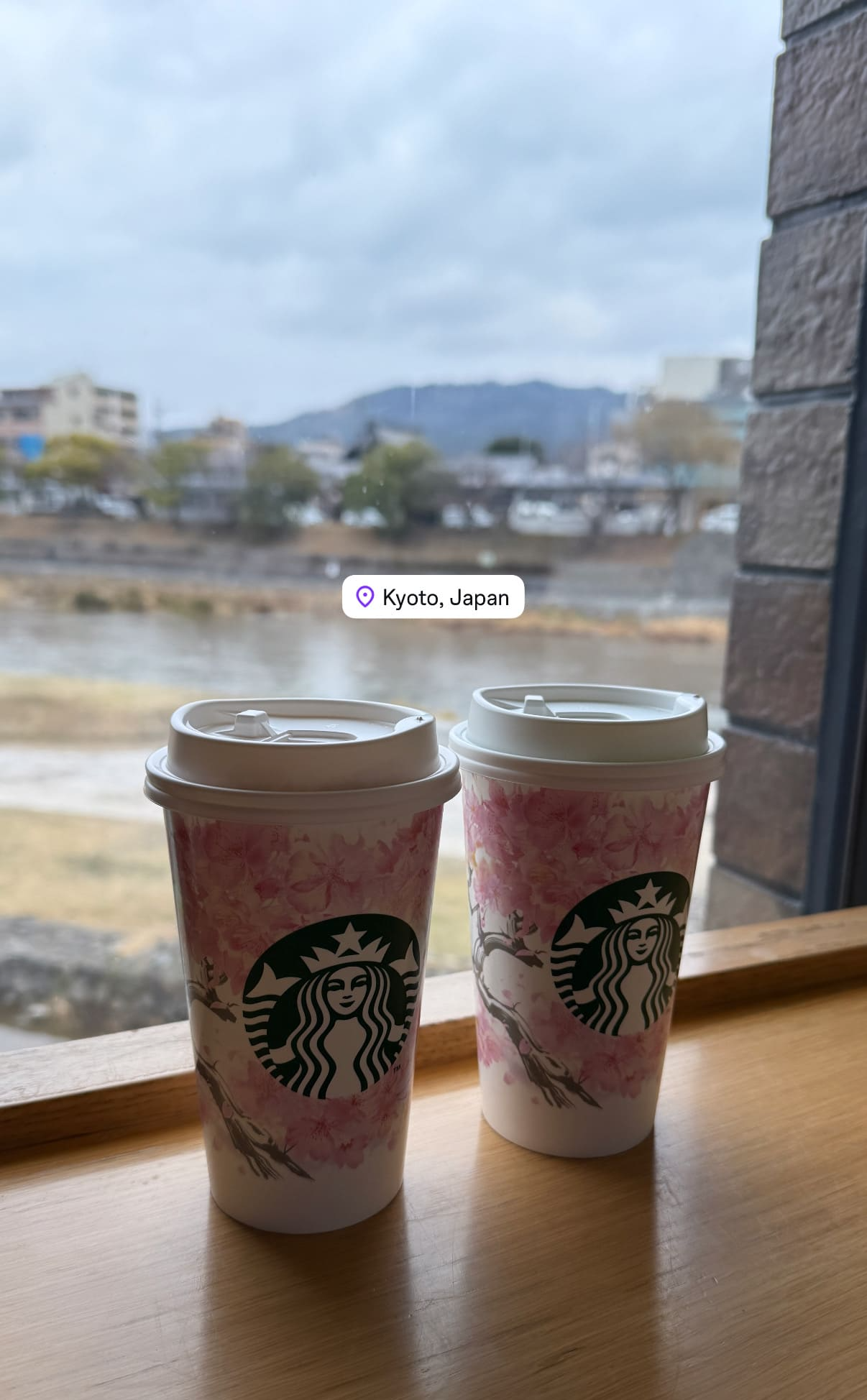 교토 봄 스타벅스