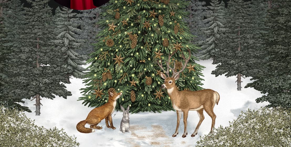 더현대 크리스마스 팝업 예약 3분 완벽 정리