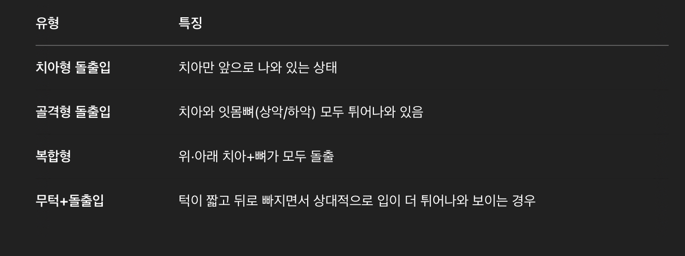 돌출입이란