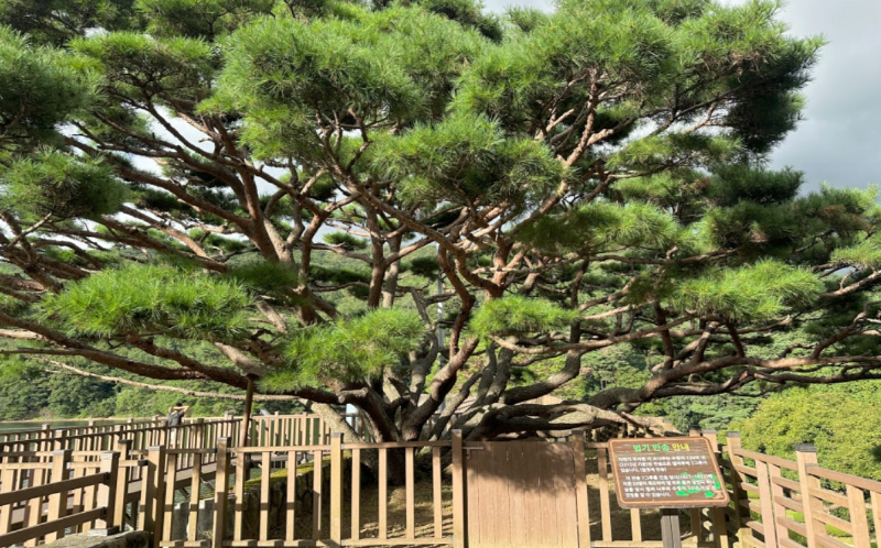 양산 법기수원지