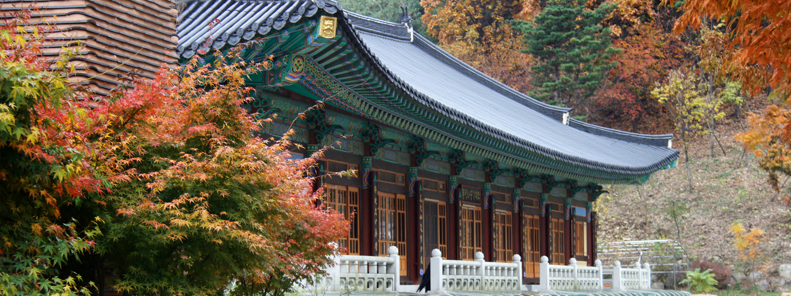 경기도 수원 단풍명소 BEST 07 가을 나들이 가볼만한곳
