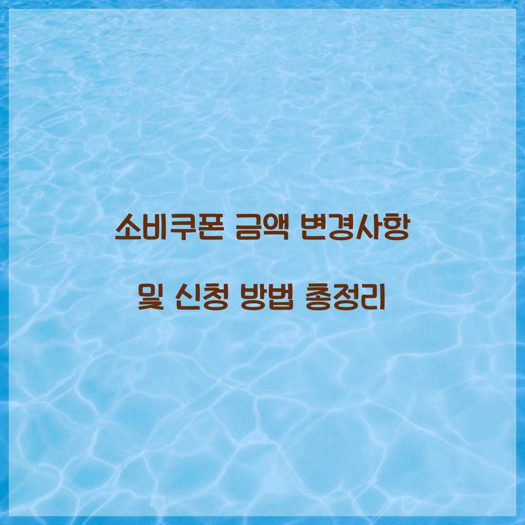 소비쿠폰 금액