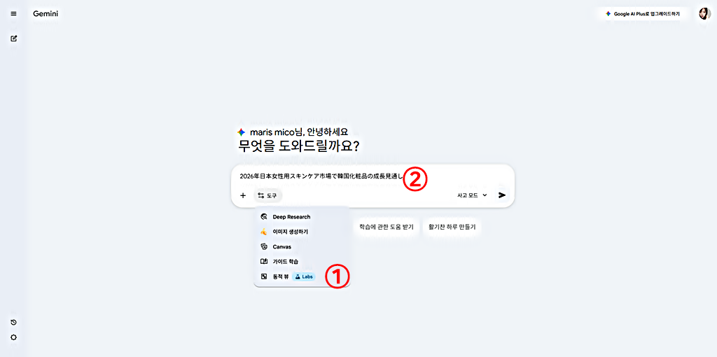 구글 제미나이 바로가기 │동적 뷰 도구 선택 │프롬프트 입력