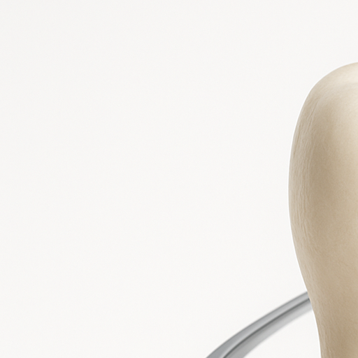 치아 제로네이트 가격