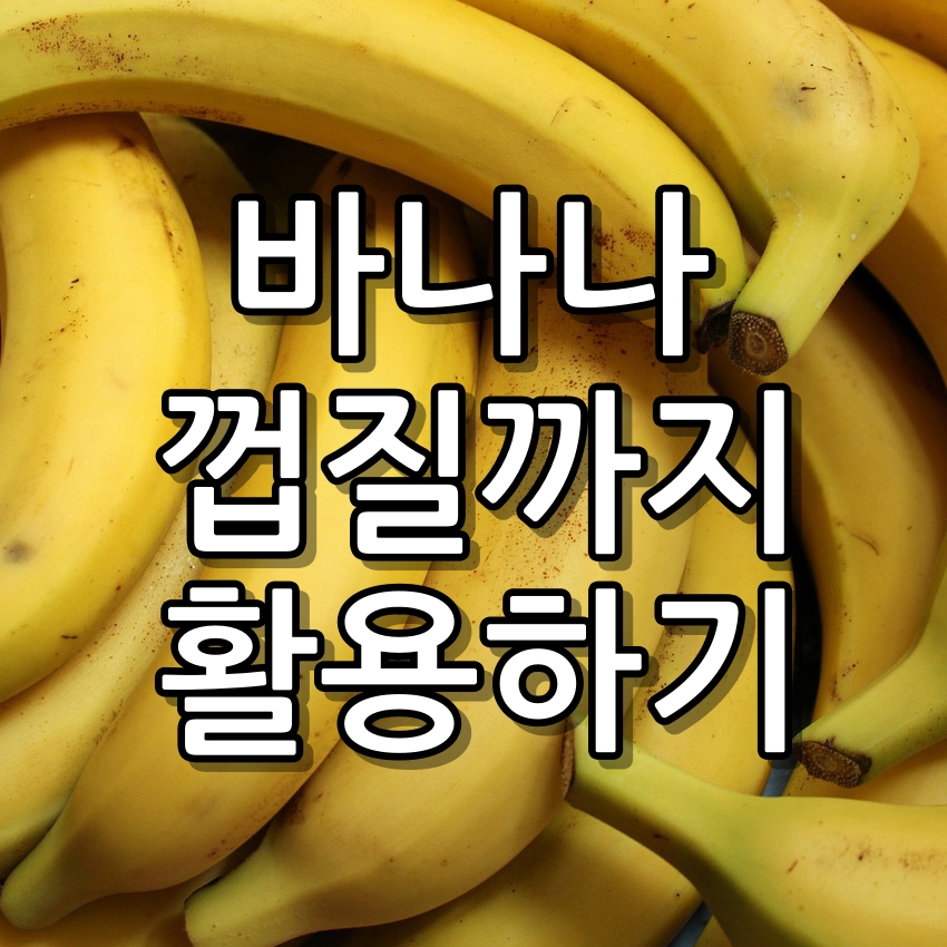 바나나의 효능 껍질도 버리면 안되는 이유