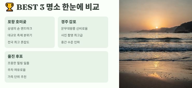 명소 비교