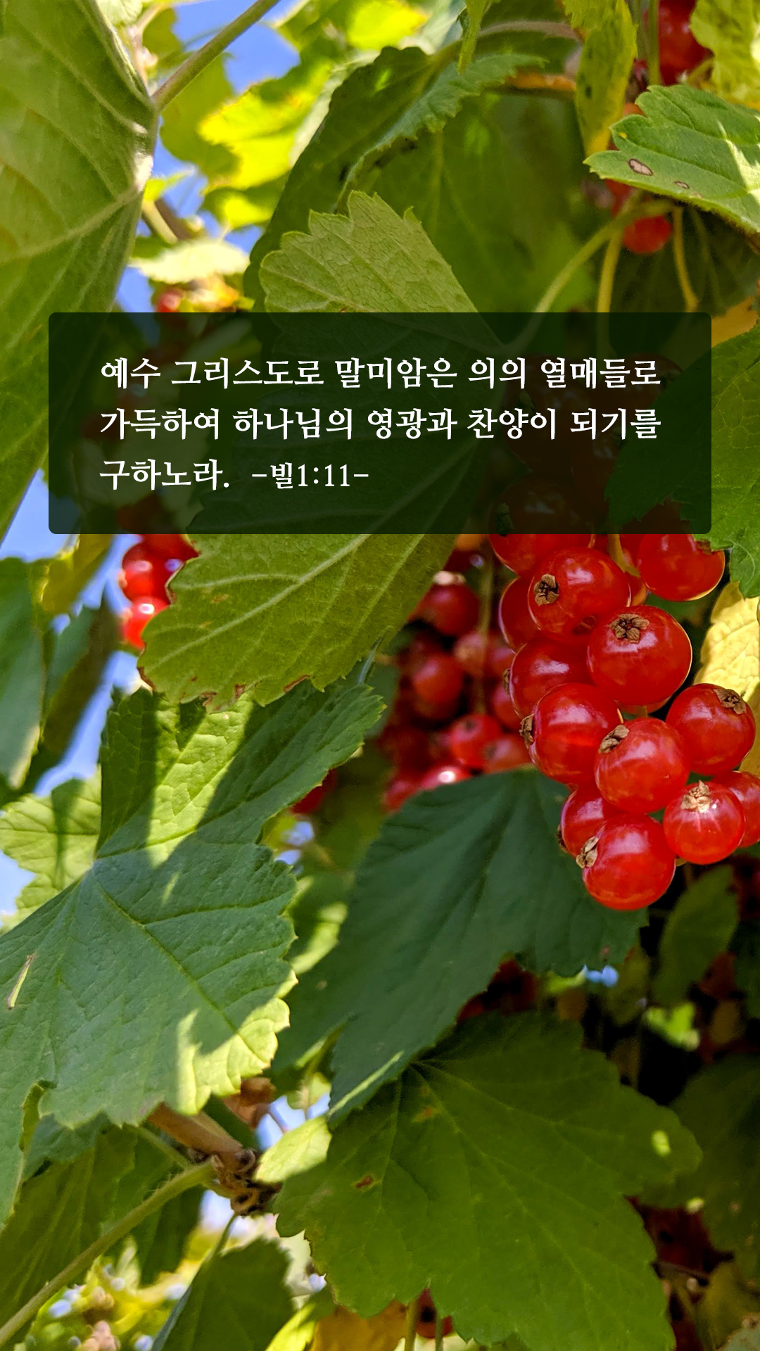 성경 좋은 구절