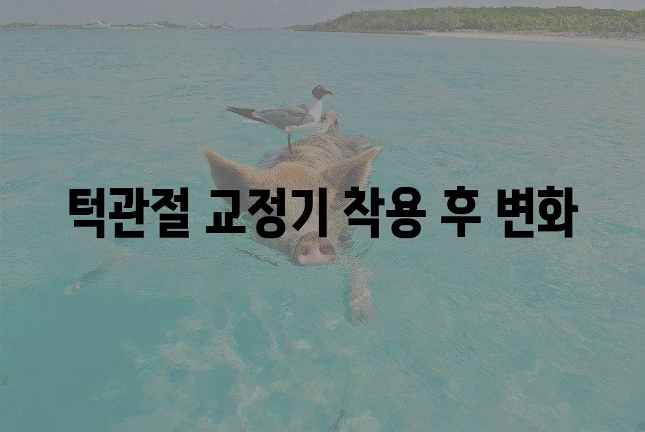 샘플 (1)