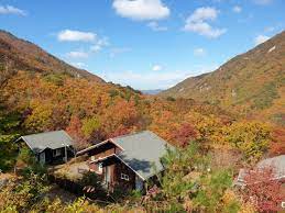 국립자연휴양림