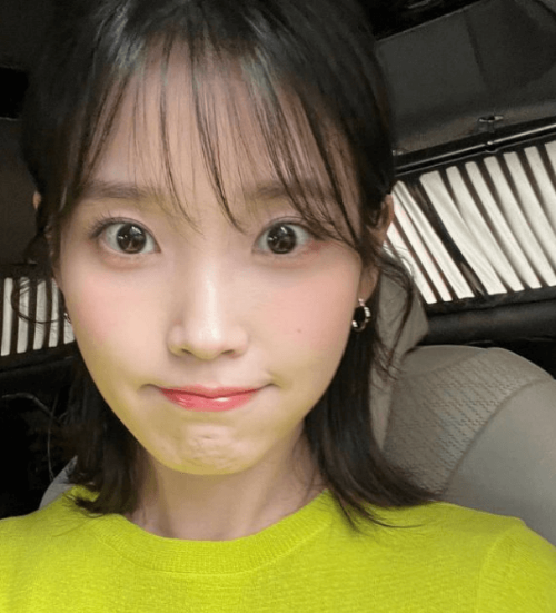 아이유 법적 대응