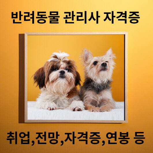 반려동물관리사 자격증