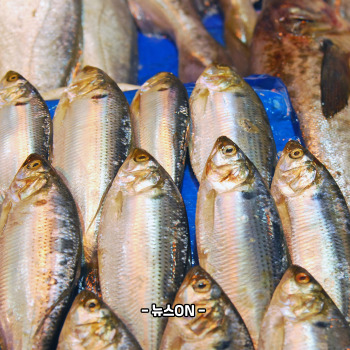 전어회무침 맛있게 하는 법