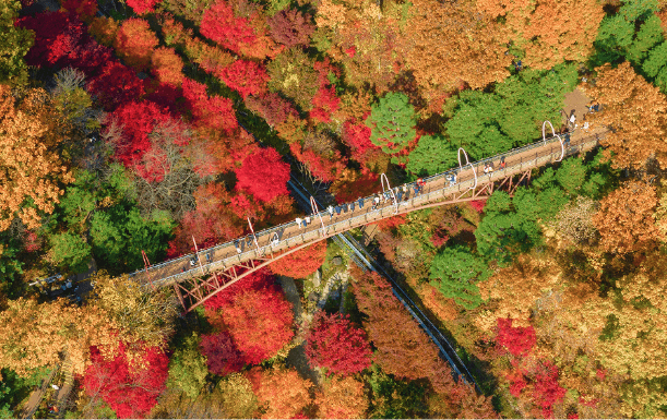 화담숲 예약하기