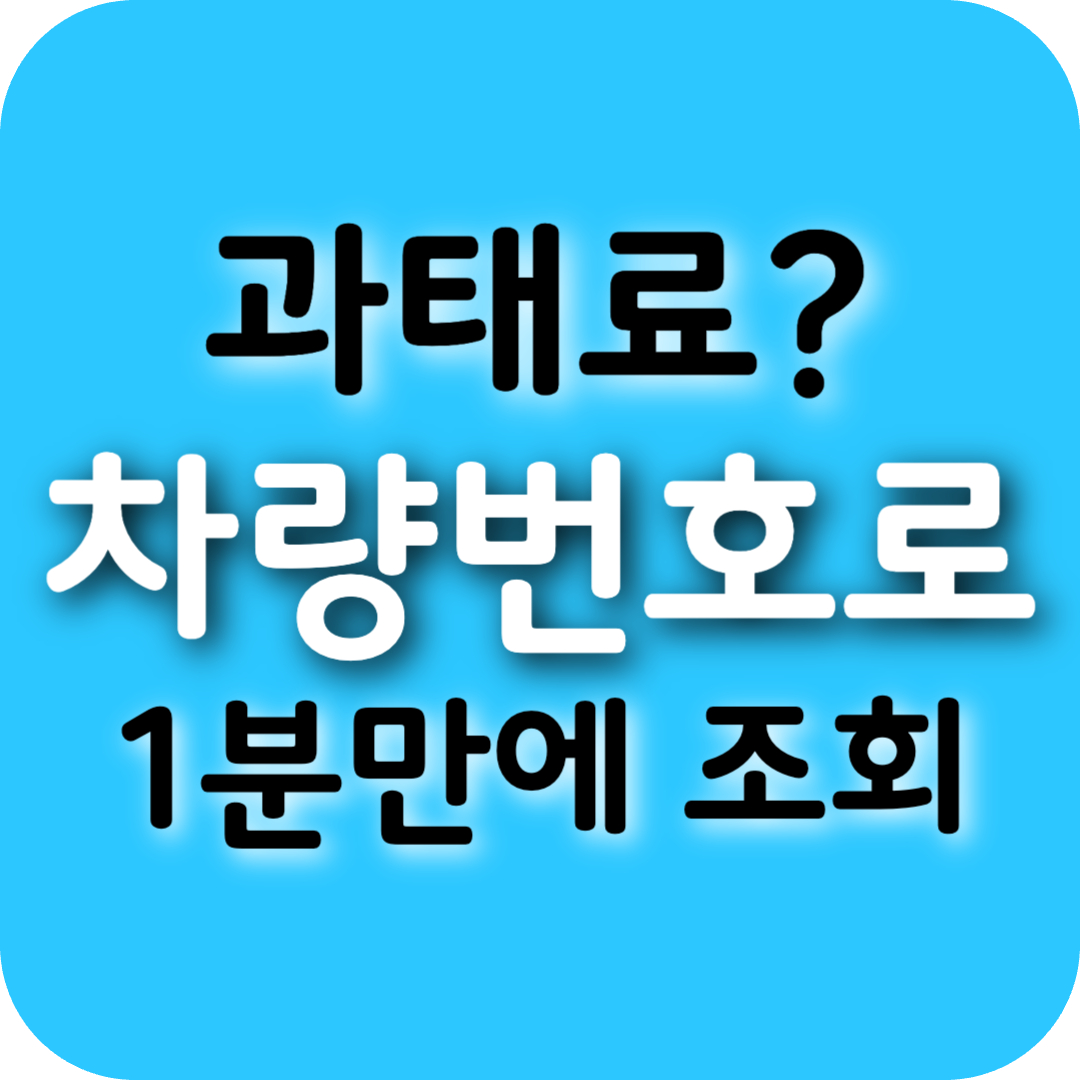 차량번호 과태료 조회