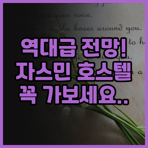 평야 자스민 호스텔 앤 루프 탑 바 ..