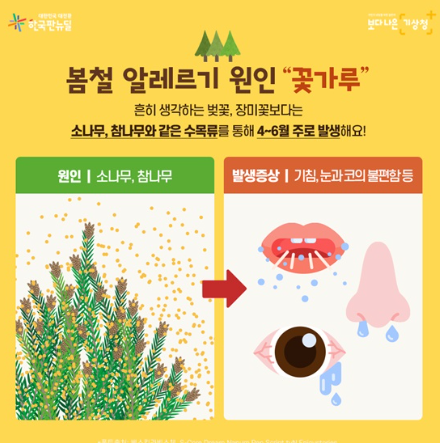 꽃가루지수 농도 확인 방법 꽃가루 알레르기 언제부터