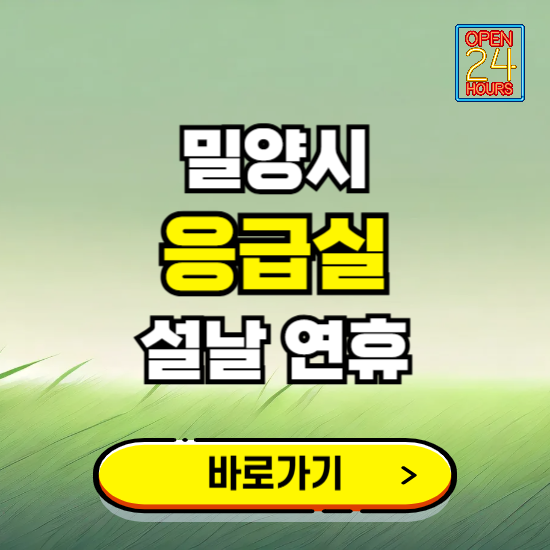 밀양시 설날 연휴 비상진료 응급실 병원 찾기 ❘ 내근처 24시 야간 심야 휴일 가능한 곳
