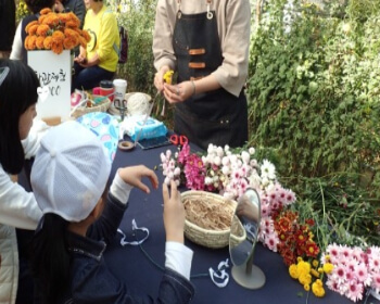 서산 국화축제_13