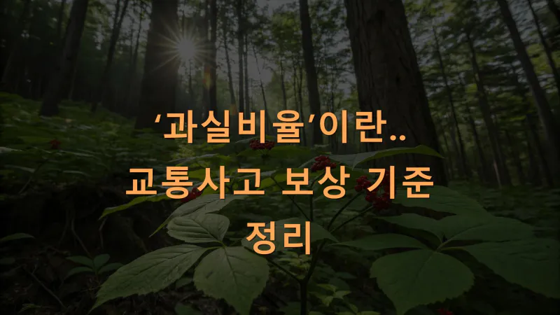 ‘과실비율’이란? 교통사고 보상 기준 정리