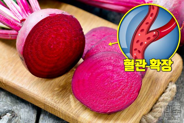 혈액순환 잘되는 음식 비트,천연 혈관확장제 추천