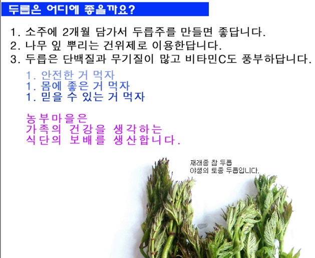 6시내고향-두릅-충북-청주-두릅효능