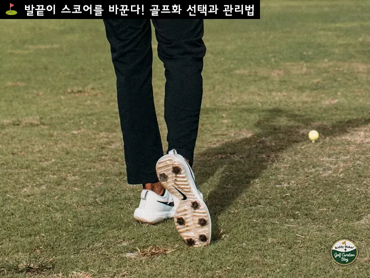 골프화 관리 꿀팁