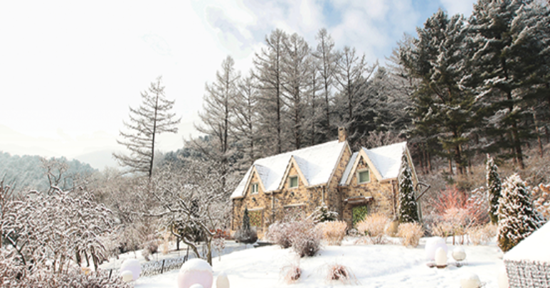 수목원겨울전경