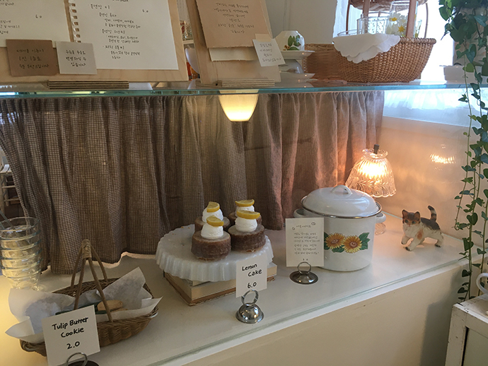 소장식물전-케이크