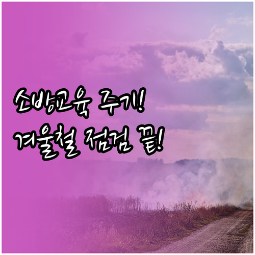 기숙사 소방안전관리자 실무 교육 주기..