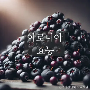 아로니아 효능 칼로리 권장섭취량_14