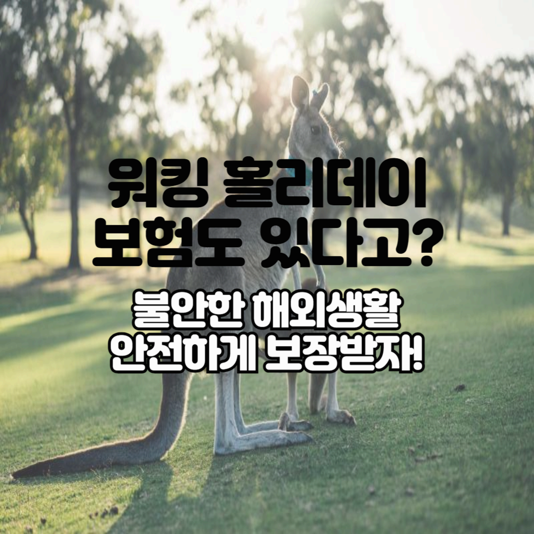 호주 워킹홀리데이도 보험이 있다? 워홀 보험에 대해 알아보자
