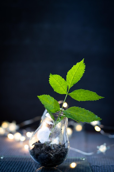 재생 예술로 나만의 인테리어 아이템 만들기