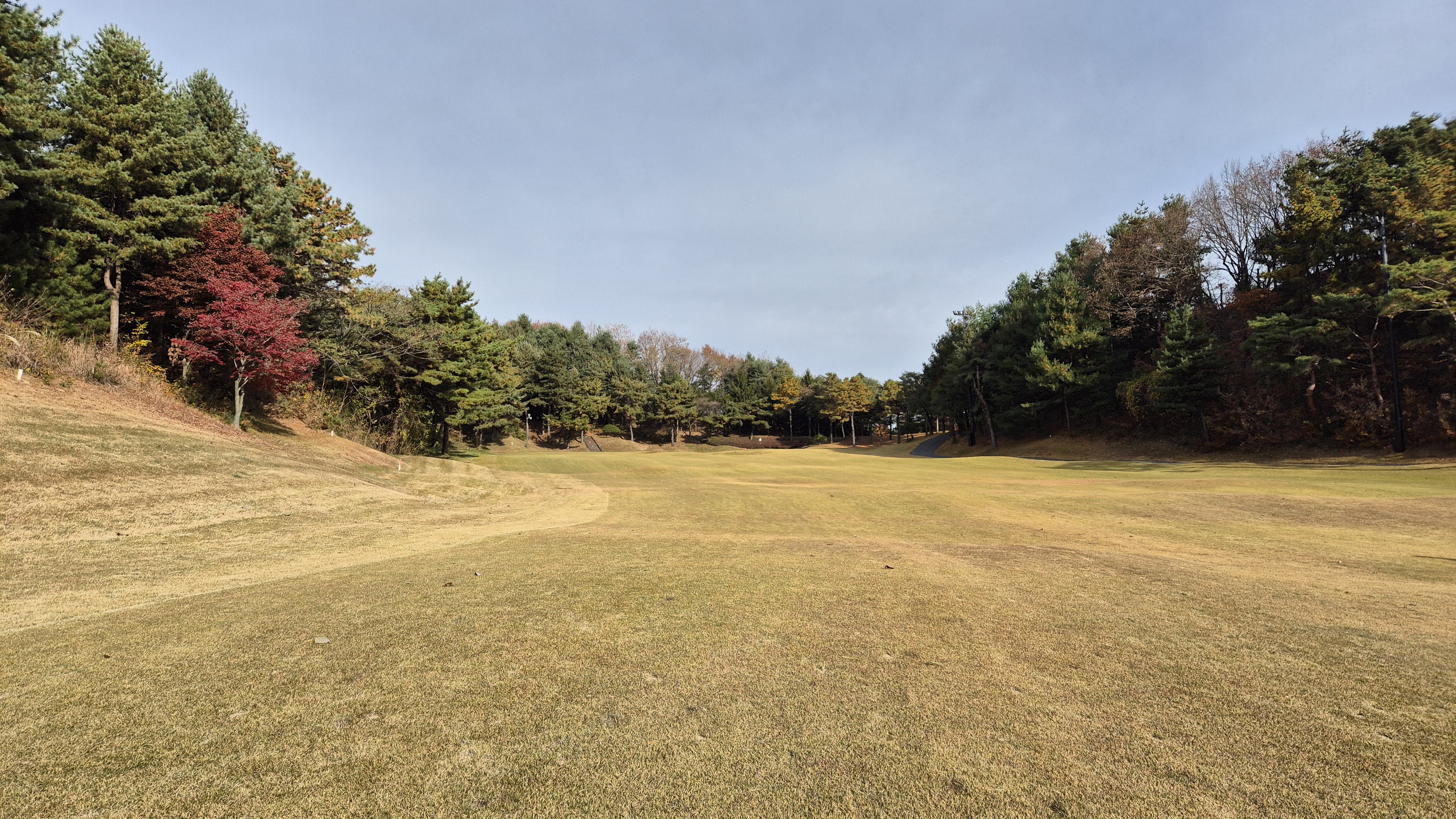 세종에머슨cc 밸리코스 사진 및 공략 정보