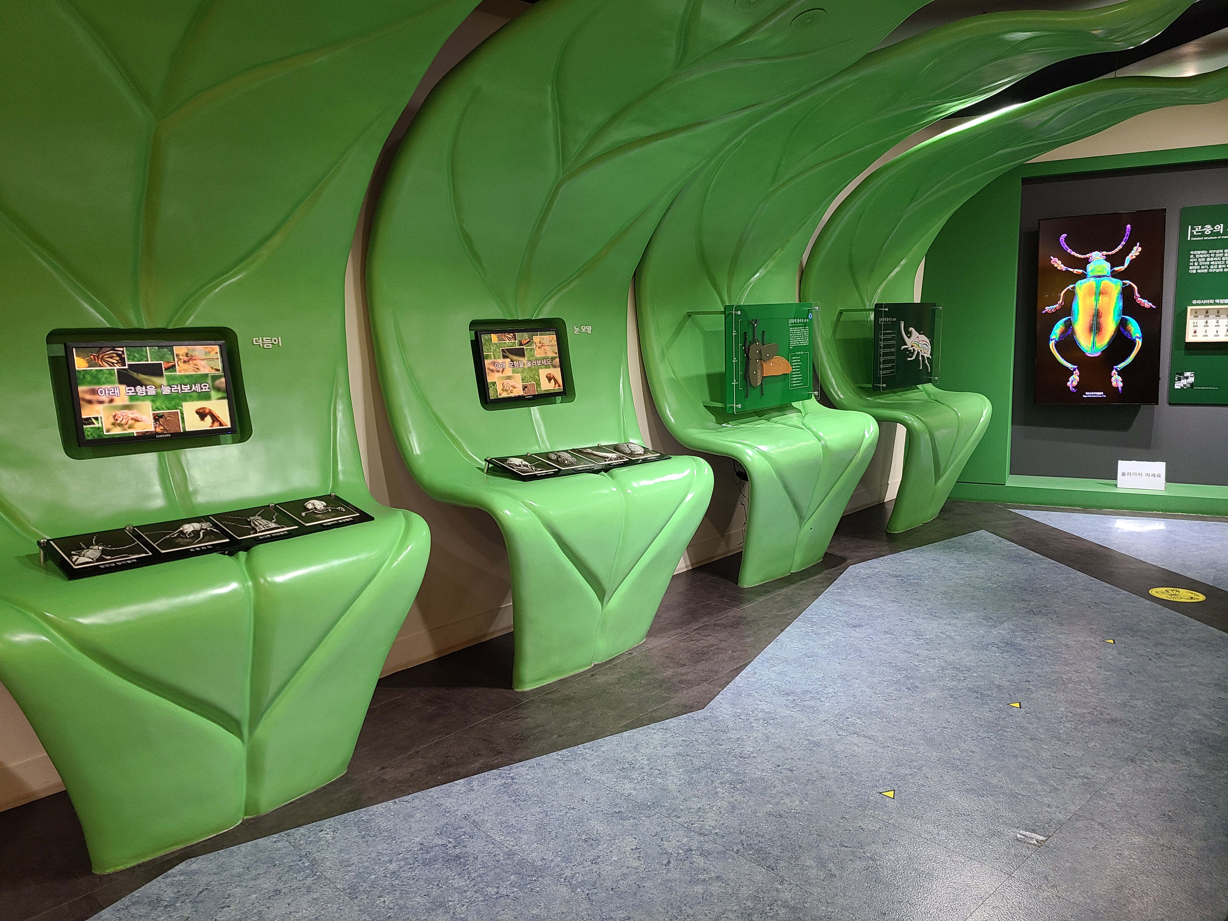 양평곤충박물관 곤충 전시실 내부