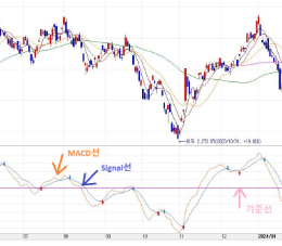 macd보조지표 보는법 알아보기