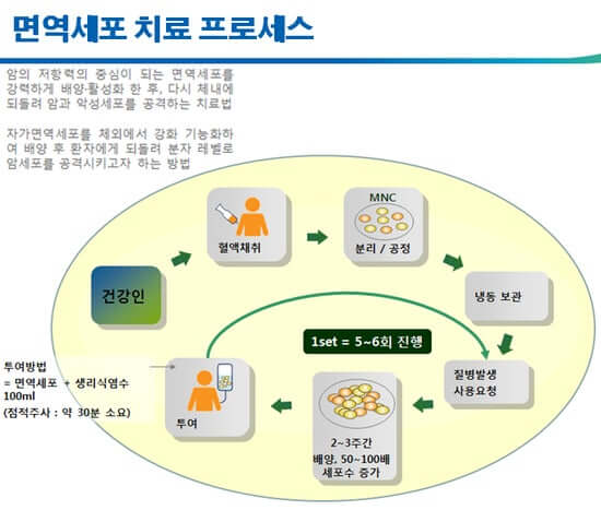 면역세포 치료 프로세스