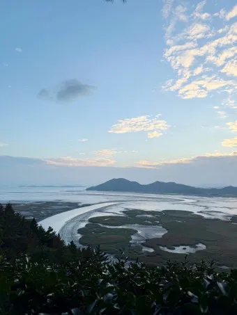 순천 가볼만한곳 베스트10 순천만 갈대밭 숨겨진 명소_17