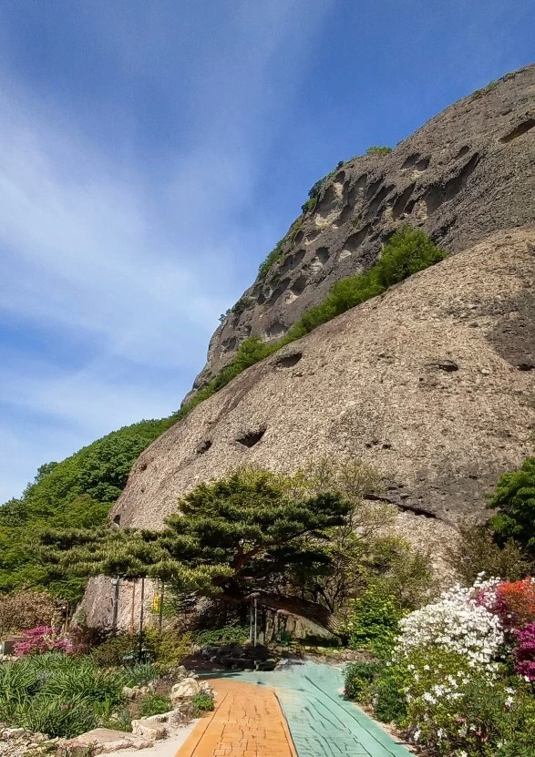 웅장한 바위와 화사한 꽃길